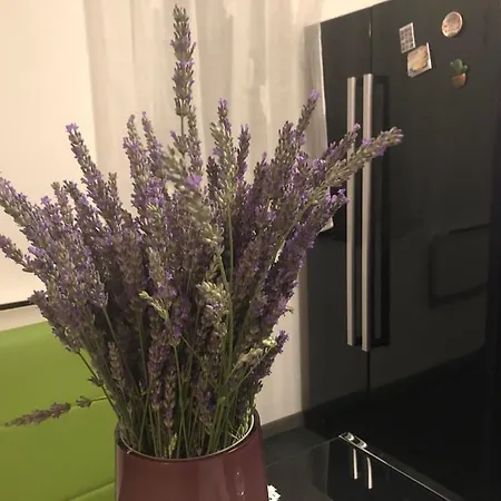 Casa Di Lavanda 아파트 *