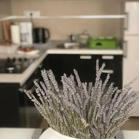 Appartamento Casa Di Lavanda Hvar Town