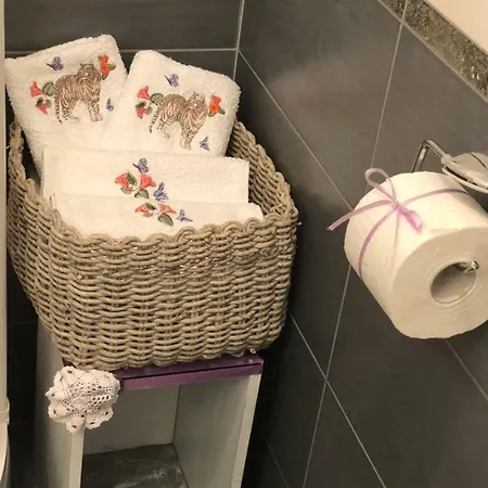 卡萨熏衣草公寓 *