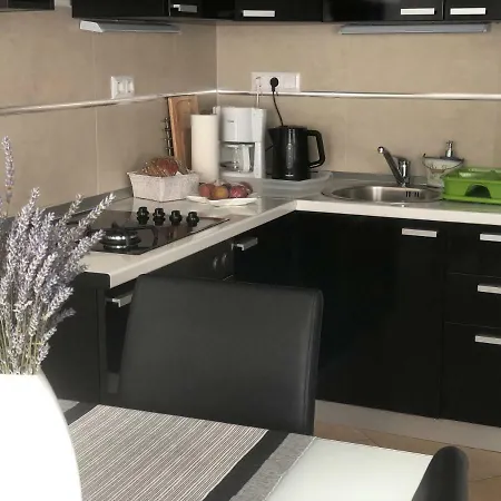 卡萨熏衣草公寓 公寓