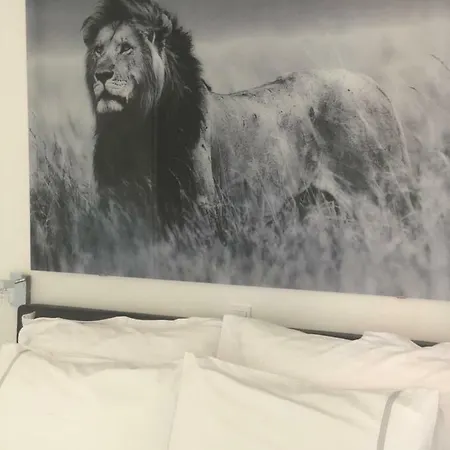 卡萨熏衣草公寓 *